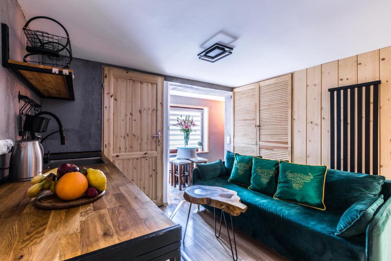 Apartament Zubry Z Sauna 扎科帕内 外观 照片